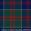 Stewart_of_Appin_Hunting_Modern-MWS2384.jpg