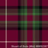 Stuart_of_Bute_Muted-MWS2387.jpg